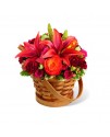 The Abundant Harvest Basket The Abundant Harvest Basket
